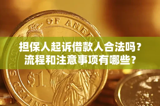 济南担保人起诉借款人合法吗？流程和注意事项有哪些？