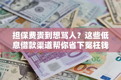济南担保费贵到想骂人？这些低息借款渠道帮你省下冤枉钱