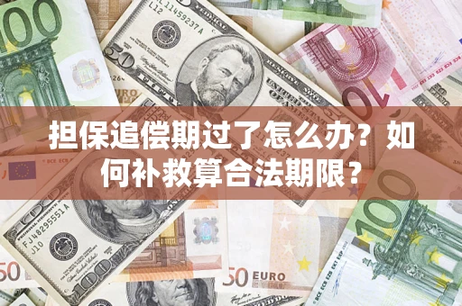 济南担保追偿期过了怎么办？如何补救算合法期限？