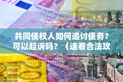 济南共同债权人如何追讨债务？可以起诉吗？（速看合法攻略）